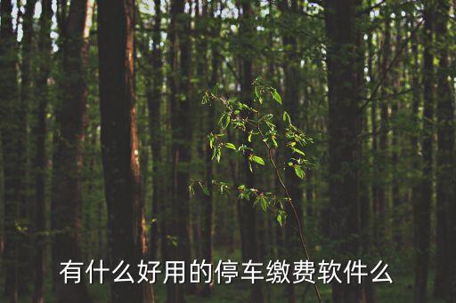 有什么好用的停車繳費軟件么