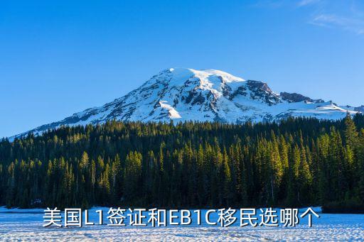 美國L1簽證和EB1C移民選哪個(gè)