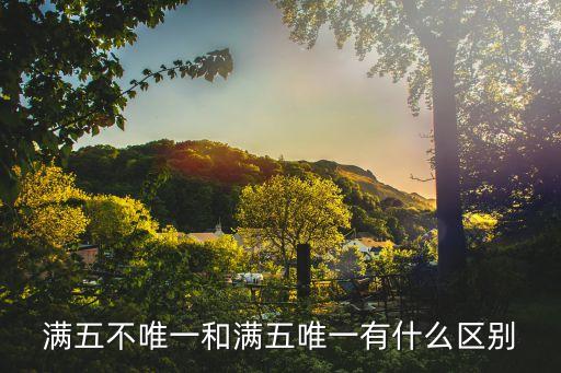 滿五不唯一和滿五唯一有什么區(qū)別