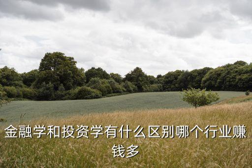 金融投資學(xué)，金融學(xué)和投資學(xué)有什么區(qū)別哪個行業(yè)賺錢多