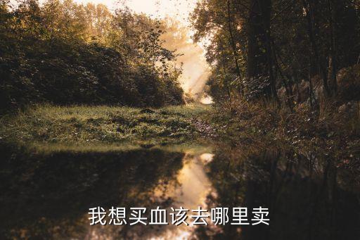 買血，我想買血該去哪里賣