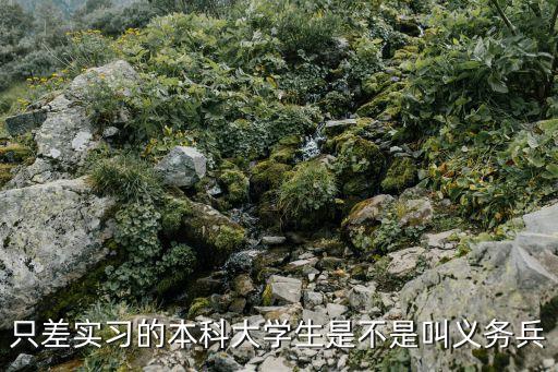 義務(wù)兵是什么，義務(wù)兵分為哪些