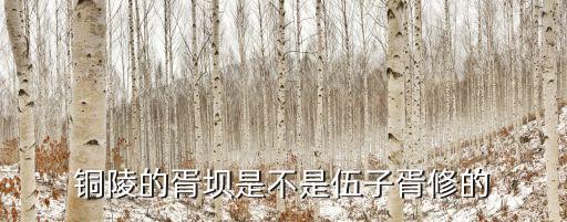 胥壩鄉(xiāng)，銅陵縣現(xiàn)在有多少個鄉(xiāng)鎮(zhèn)