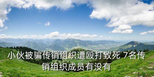 小伙被騙傳銷組織遭毆打致死 7名傳銷組織成員有沒有