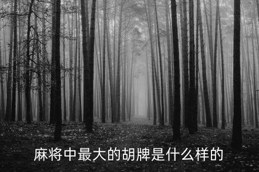 麻將中最大的胡牌是什么樣的