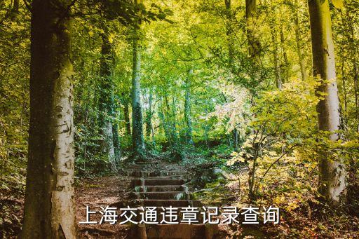 上海交通違章記錄查詢