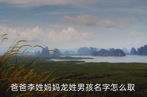爸爸李姓媽媽龍姓男孩名字怎么取