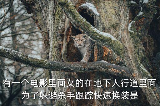 國家機密3，有一個電影里面女的在地下人行道里面為了躲避殺手跟蹤快速換裝是