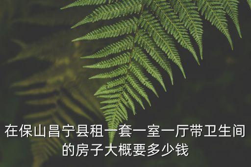 在保山昌寧縣租一套一室一廳帶衛(wèi)生間的房子大概要多少錢