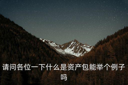 資產包，請問各位一下什么是資產包能舉個例子嗎
