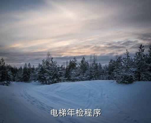 電梯年檢程序