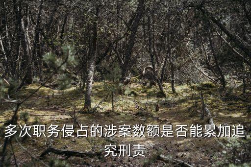 多次職務(wù)侵占的涉案數(shù)額是否能累加追究刑責(zé)