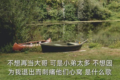 戰(zhàn)濤，不想再當(dāng)大哥 可是小弟太多 不想因?yàn)槲彝顺龆掏此麄冃母C 是什么歌