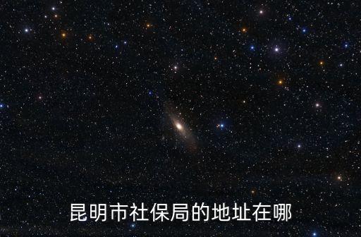 昆明市社保局的地址在哪