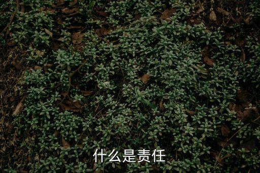 什么是責(zé)任