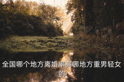 全國哪個地方離婚率高哪地方重男輕女的