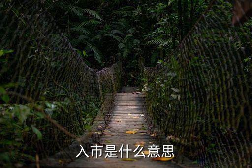 入市，黃歷中入市是什么意思