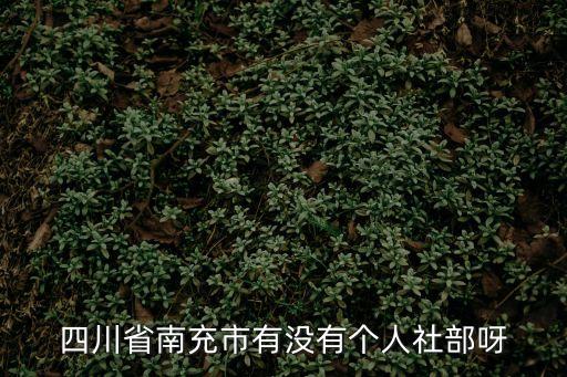 南充人力資源和社會(huì)保障局，南充火車(chē)站到人力資源社會(huì)勞動(dòng)保障局怎么走啊