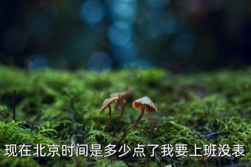 北京上班時(shí)間，求北京夏天和冬天的上班時(shí)間