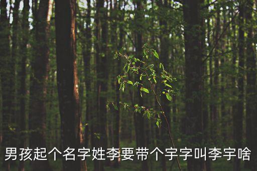 李宇，李宇這名字好聽(tīng)嗎