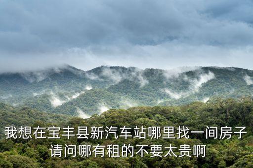我想在寶豐縣新汽車站哪里找一間房子 請問哪有租的不要太貴啊