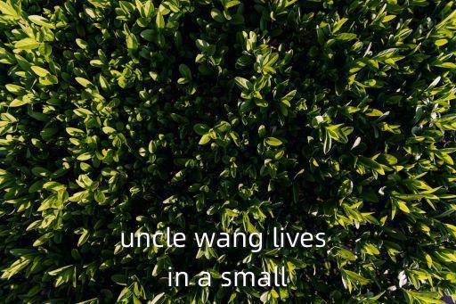 王興偉，wang xin wei lives with his uncle in the