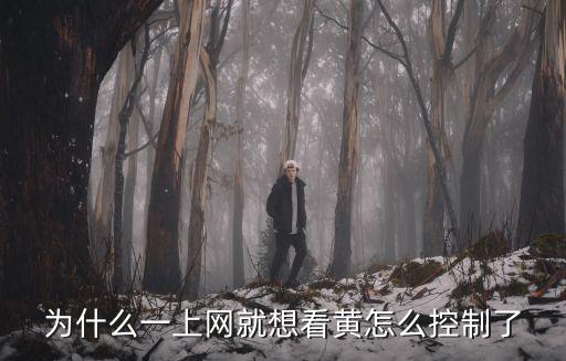 為什么一上網就想看黃怎么控制了