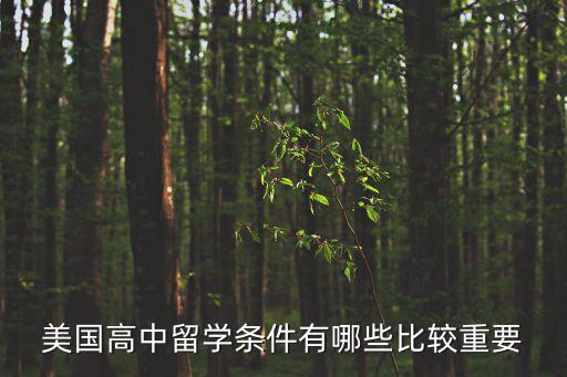 美國高中留學(xué)條件有哪些比較重要