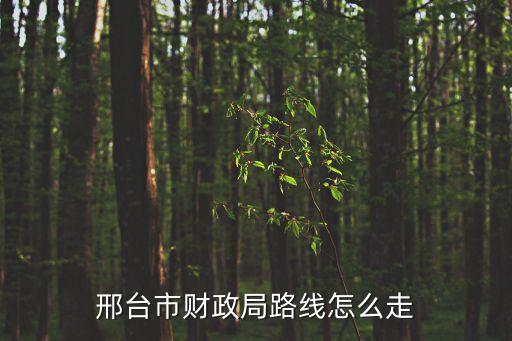 邢臺市財政局路線怎么走