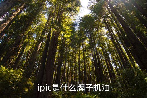 ipic，ipic是什么牌子他的平板好嗎為什么百度上都查不到這個牌子  搜