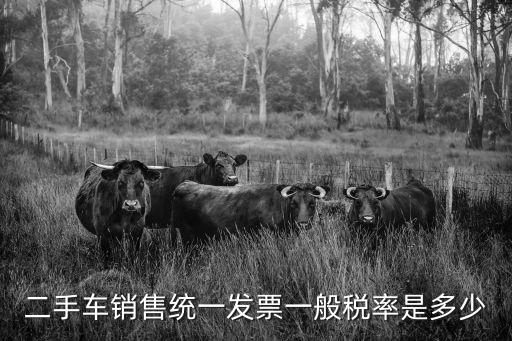 二手車稅率，二手車銷售統(tǒng)一發(fā)票一般稅率是多少