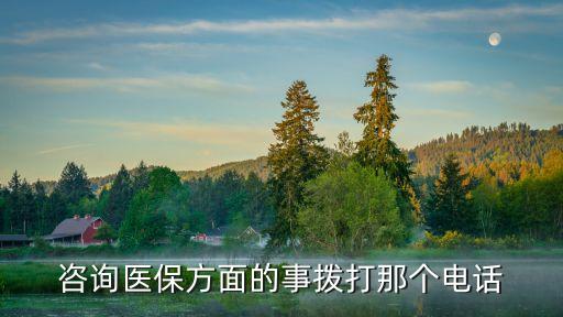 咨詢醫(yī)保方面的事?lián)艽蚰莻€(gè)電話