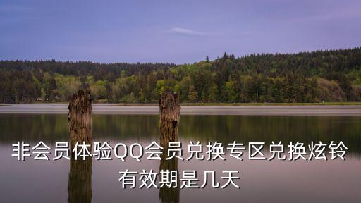 非會(huì)員體驗(yàn)QQ會(huì)員兌換專區(qū)兌換炫鈴有效期是幾天