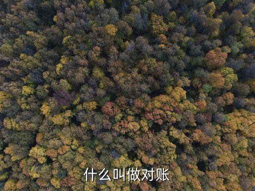 什么叫做對(duì)賬