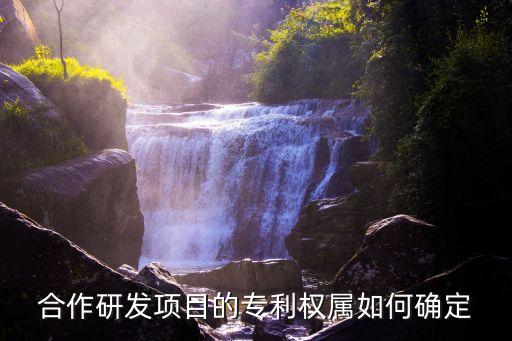 合作研發(fā)，三家單位合作研發(fā)一個項目合作協(xié)議該怎么寫啊