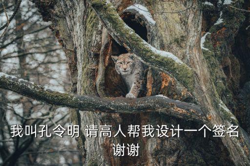 孔令明，我叫孔令明 請高人幫我設(shè)計一個簽名 謝謝