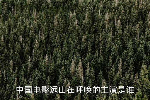 中國電影遠(yuǎn)山在呼喚的主演是誰