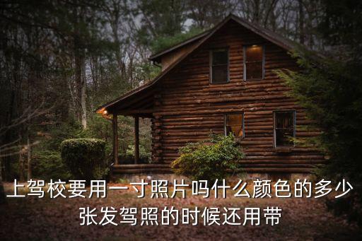 駕校照片，上駕校要用一寸照片嗎什么顏色的多少?gòu)埌l(fā)駕照的時(shí)候還用帶