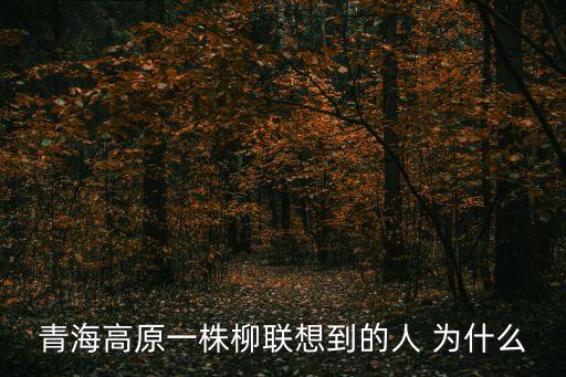 青海高原一株柳聯(lián)想到的人 為什么