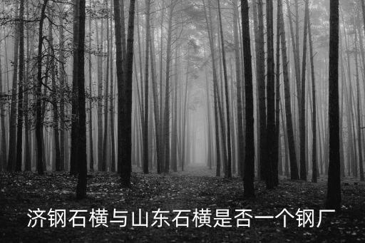 石橫，濟(jì)鋼石橫與山東石橫是否一個(gè)鋼廠