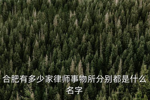 合肥有多少家律師事物所分別都是什么名字