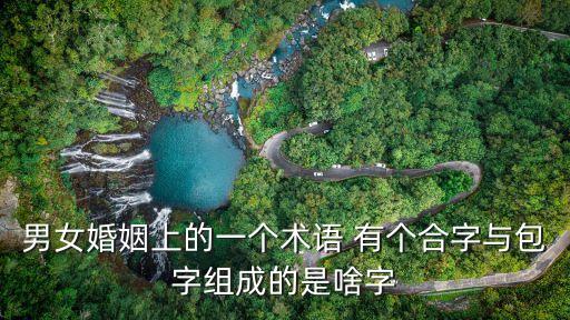 男女婚姻上的一個(gè)術(shù)語(yǔ) 有個(gè)合字與包字組成的是啥字