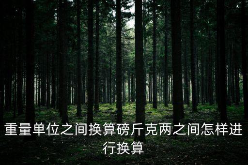 重量計(jì)算，重量計(jì)算公式是什么