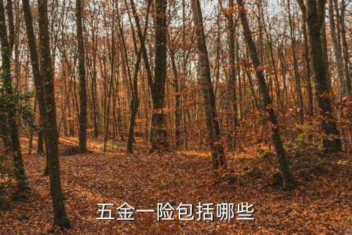 五金一險包括哪些