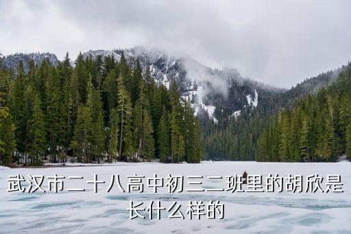胡欣，胡欣的英名應(yīng)該是什么
