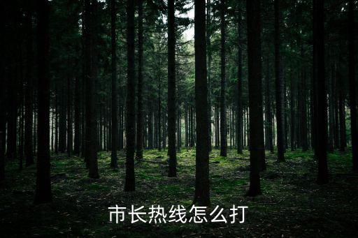 市長熱線怎么打
