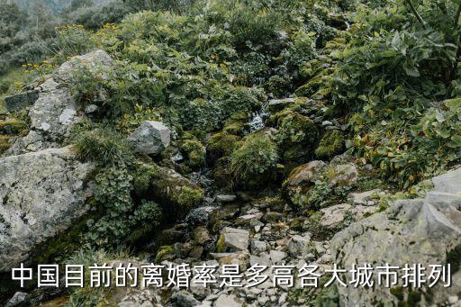 各省離婚率，中國(guó)各省離婚率是多少中國(guó)離婚率有多高現(xiàn)在離婚率