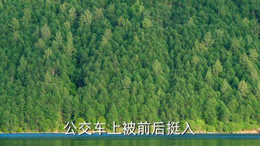 公交車被進(jìn)入，公交車上被粗大插