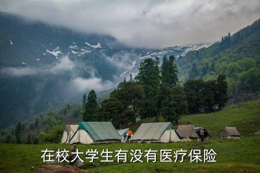 在校大學(xué)生有沒有醫(yī)療保險