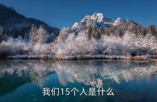 我們15個人是什么